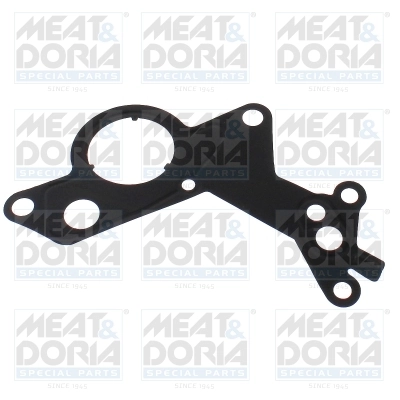 Gasket, vacuum pump